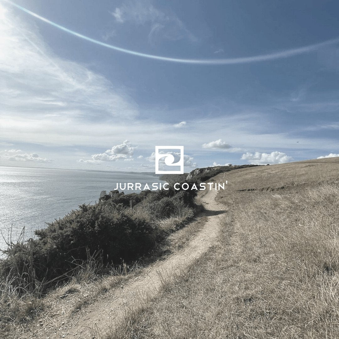 Jurassic Coastin' - ryde.store