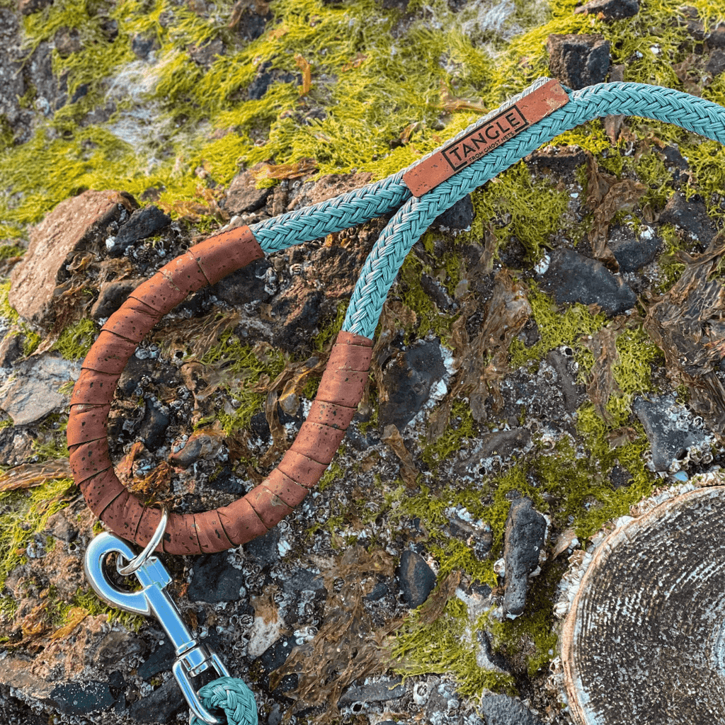 Tangle Eco-Friendly Leash from Recycled Fishing Nets
