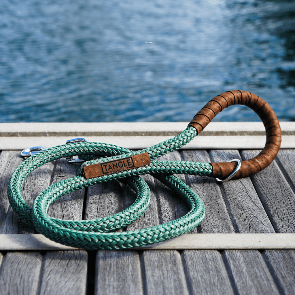 Tangle Sustainable Dog Lead from Recycled Nets 